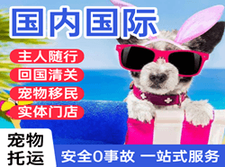 厦门航空物流国际宠物托运 【国